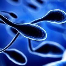 5 мифов о вреде и пользе спермы