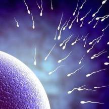 17 фактов о сперме, о которых многие не догадывались