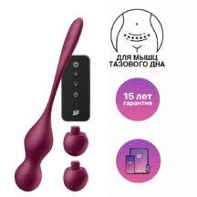 Вагинальные виброшарики Satisfyer Love Birds Vary с пультом ДУ, бордовые