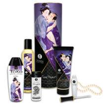 Набор Shunga Carnal pleasures, 5 предметов