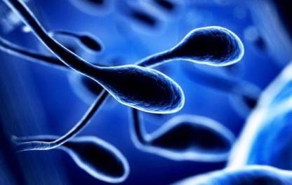 5 мифов о вреде и пользе спермы