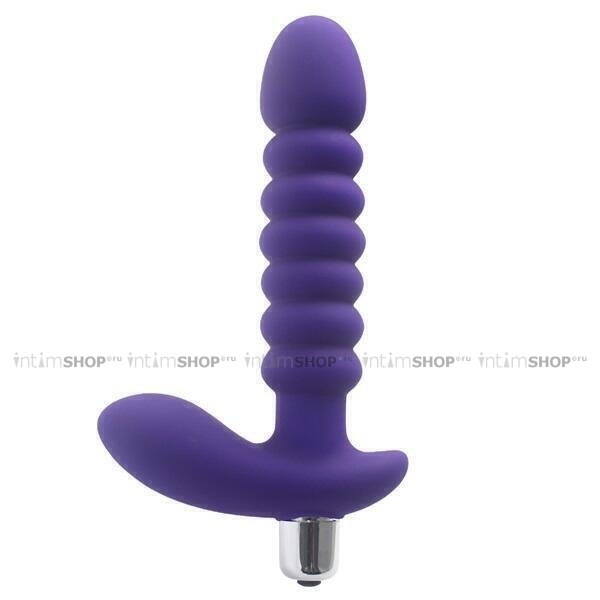 

Анальная пробка Aphrodisia Anal Pleasure Ribbed Explorer, фиолетовый