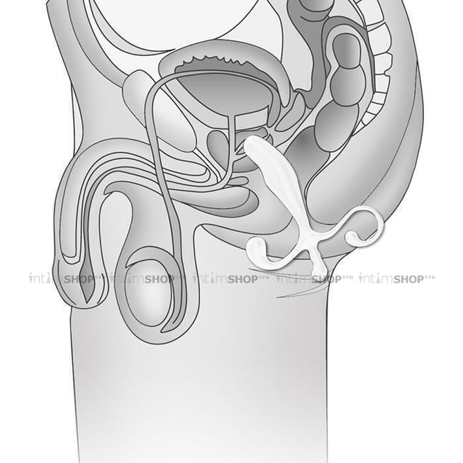 Массажер простаты Blue Line 5" Male P-Spot, белый от IntimShop